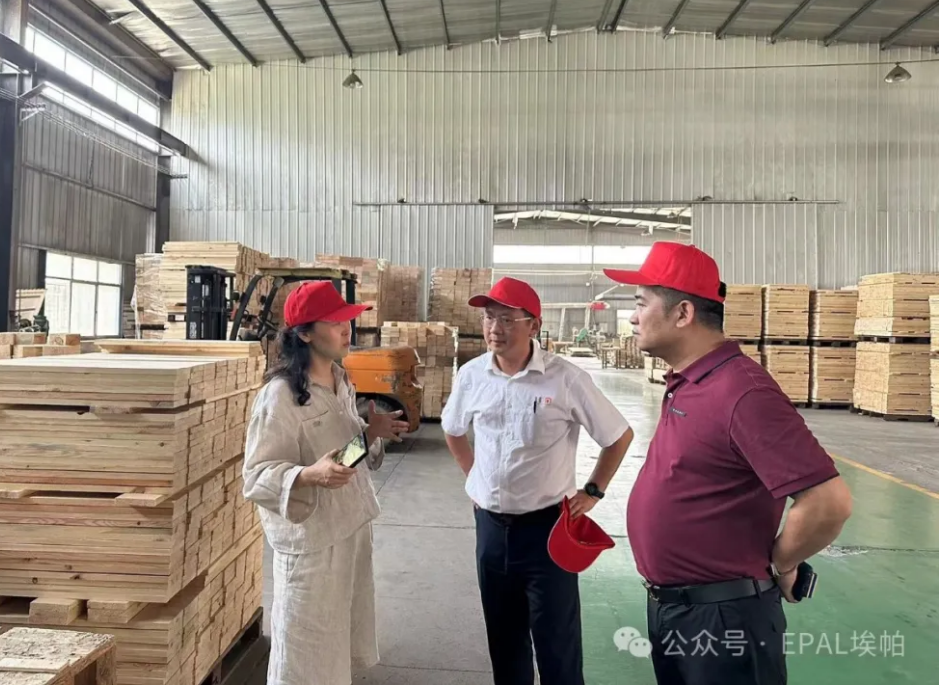 EPAL EPAL QR Code Pioneer Project opens in Lujie, Shandong(图2) EPAL EPAL QR Code Pioneer Project opens in Lujie, Shandong(图2)