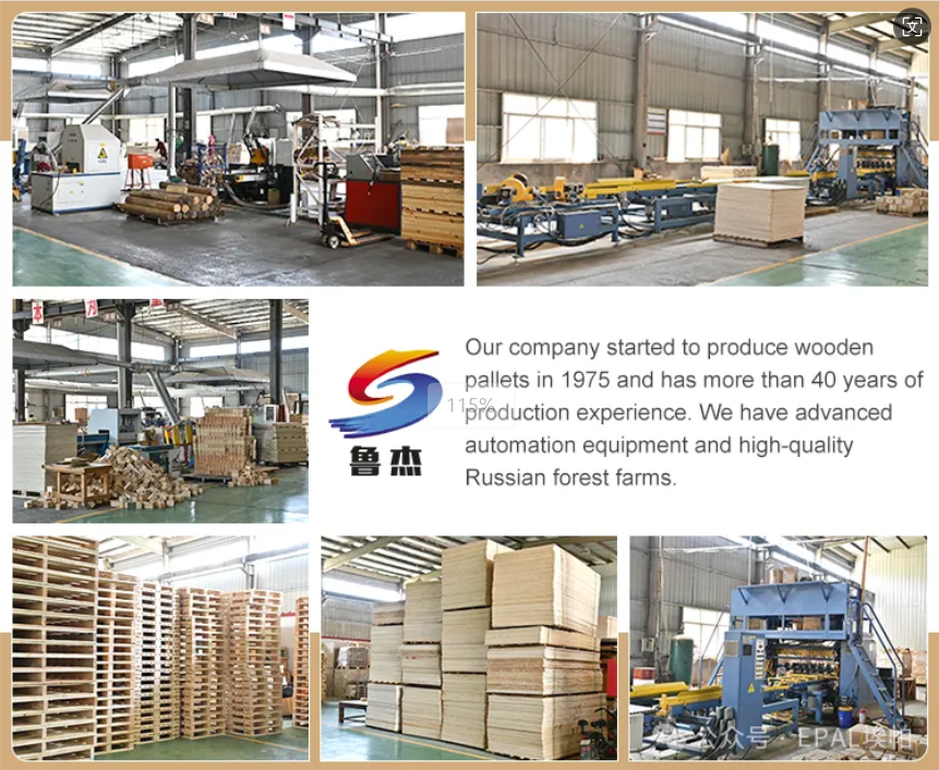 EPAL EPAL QR Code Pioneer Project opens in Lujie, Shandong(图6) EPAL EPAL QR Code Pioneer Project opens in Lujie, Shandong(图6)